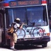 busz